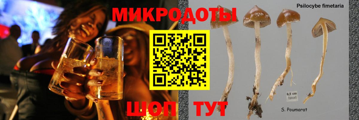 Иваново  Галлюциногенные грибы MAGIC MUSHROOMS  Вход с VPN 